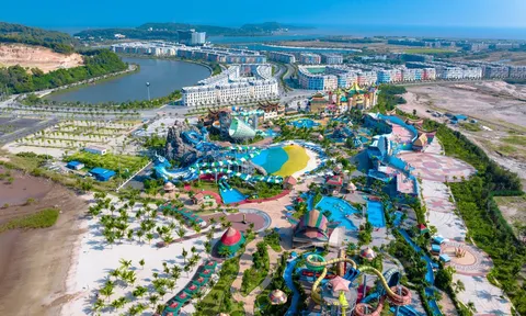 Chủ khu du lịch quốc tế Đồi Rồng bị xử phạt