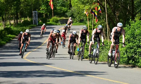 Những giải đấu được mong chờ tại Sports Festival 2026