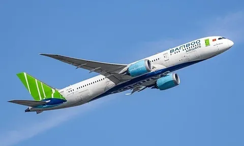 Nợ thuế hơn 440 tỷ đồng, chủ sở hữu Bamboo Airways đối mặt với biện pháp tạm hoãn xuất cảnh
