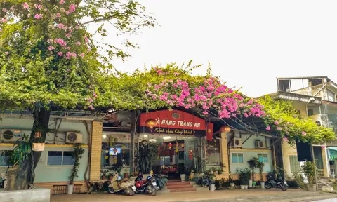 Nhà hàng Tràng An – Tuyên Quang: Điểm đến lý tưởng cho thực khách sành ăn