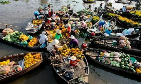 Hậu Giang chi hơn 58 tỉ để mở 3 tuyến du lịch đường sông