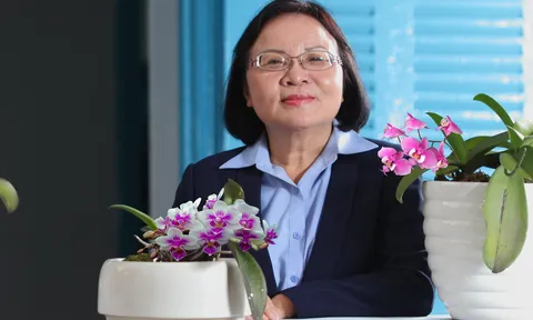 Doanh nhân Hoa Lệ: Người phụ nữ "miệng nói tay làm", luôn tràn đầy nhiệt huyết với "sứ mệnh" của nghề