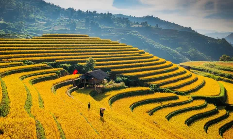 Đi giữa mùa vàng Mù Cang Chải, “săn” ảnh đẹp và chạm vào văn hóa vùng cao