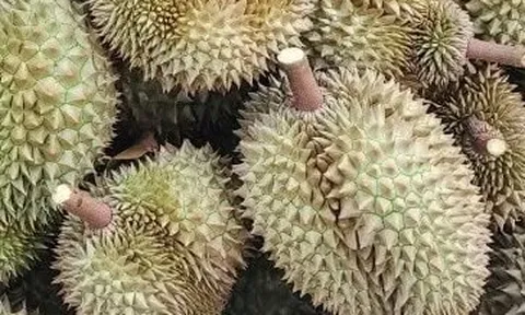 Ngân hàng Nhà Nước mở gói tín dụng ưu đãi cho doanh nghiệp