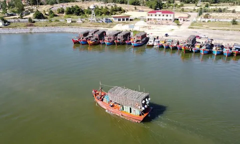 Tỉnh Quảng Trị: Huy động cả hệ thống chính trị ứng phó hiệu quả với bão số 5