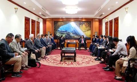 Đoàn công tác Hội Hoà bình hữu nghị Hiroshima - Việt Nam thăm, làm việc tại Quảng Trị