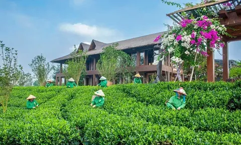 Du lịch Thái Nguyên chuyển hướng phát triển, mở rộng thị trường và khẳng định vị thế trên bản đồ du lịch Việt Nam