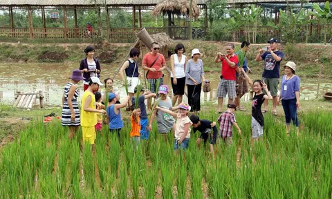 Phát triển du lịch nông nghiệp - nông thôn gắn với tiêu thụ nông đặc sản và sản phẩm OCOP