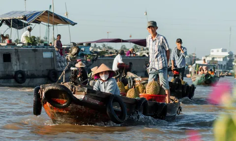 Lênh đênh chợ nổi Cái Răng, trải nghiệm nét văn hóa miền Tây sông nước