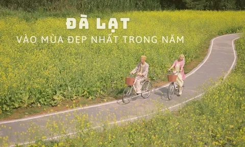 Đà Lạt vào mùa đẹp nhất trong năm, hãy lưu ngay những bí quyết để có chuyến đi hoàn hảo