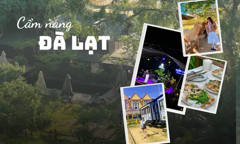 Gợi ý lịch trình 3N2Đ cho những tín đồ yêu thích trải nghiệm tự túc Đà Lạt lần đầu