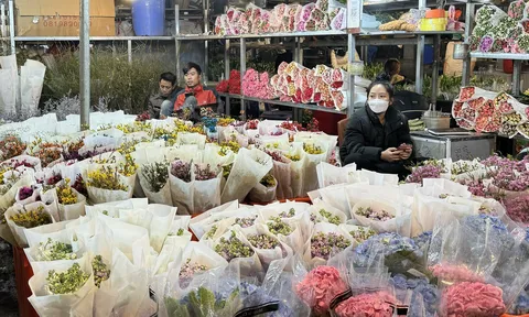 Đề xuất chợ hoa lớn nhất tại Hà Nội trở thành sản phẩm du lịch đêm