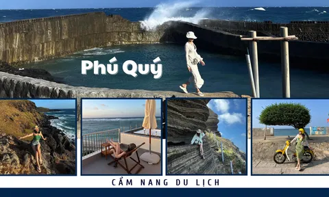 Vi vu Phú Quý trải nghiệm gì?