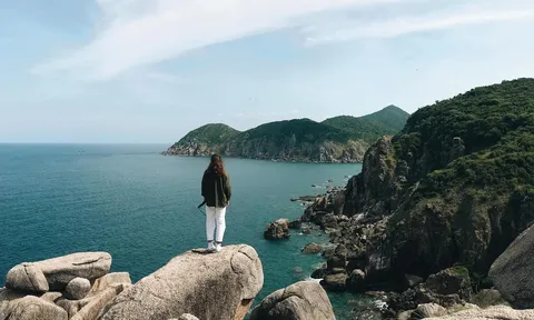 Tới “Xứ sở hoa vàng trên cỏ xanh” Phú Yên ăn gì, chơi đâu?