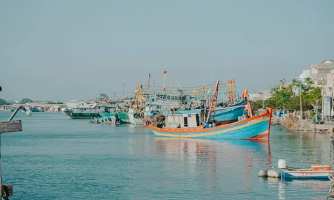 Khám phá làng chài “tỷ phú” bình yên và thơ mộng bên bờ biển Vũng Tàu