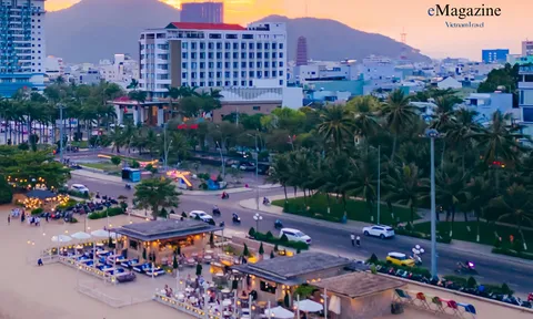 Du lịch Quy Nhơn: Từ thiên nhiên nguyên sơ đến không gian thưởng vị hiện đại