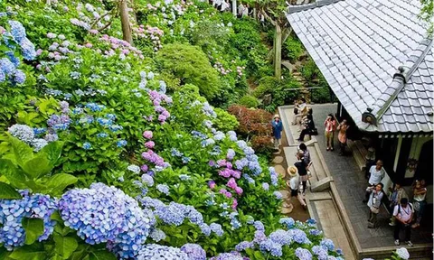 Âm hưởng sự kiện du lịch ở nhiều quốc gia trên thế giới luôn sôi động và đầy hấp dẫn tuần qua