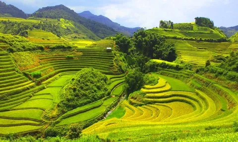 Mùa lúa Mai Châu cho những kẻ mộng mơ đi tìm Tây Bắc