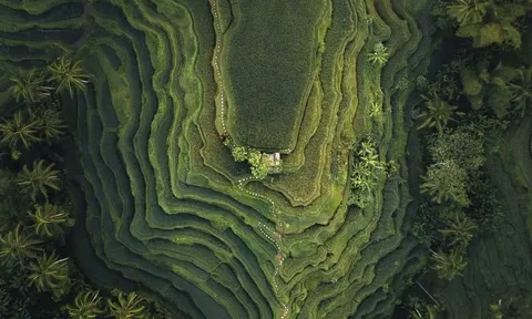 Đến thăm ruộng bậc thang Tegalalang - Một vẻ đẹp hoang sơ và thơ mộng tại Bali, Indonesia