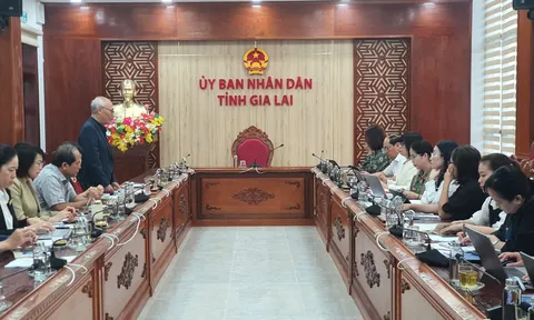 Hiệp hội du lịch Việt Nam đồng hành cùng Gia Lai chuẩn bị cho Năm Du lịch quốc gia 2026