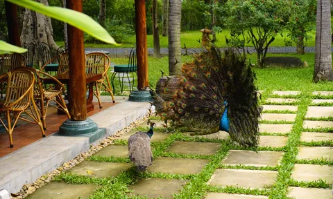 Furama Đà Nẵng lọt top 100 điểm chạm Đà Nẵng