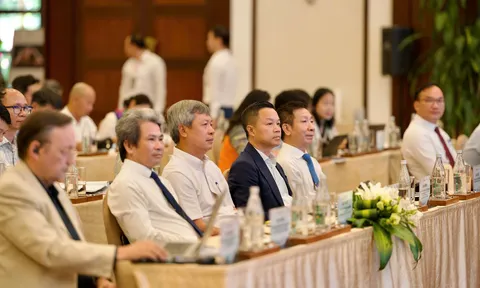 Hành trình Quế Trà My: Từ sản vật đại ngàn đến khát vọng phát triển bền vững
