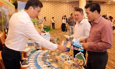 ĐBSCL kết nối với miền Trung phát triển du lịch