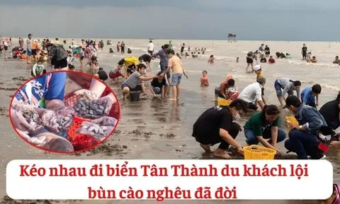 Kéo nhau đi biển Tân Thành, du khách lội bùn cào nghêu đã đời!