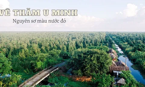 Về thăm U Minh - nguyên sơ màu nước đỏ
