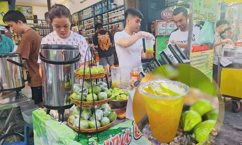 "Đu trend" món trà chanh giã tay: Khách xếp hàng dài, ngày bán 800 ly