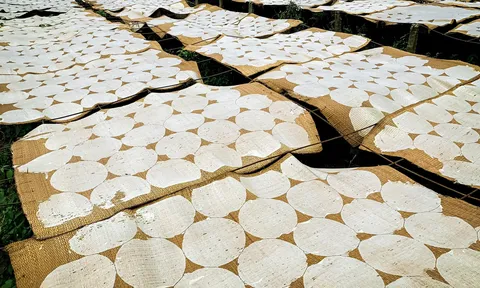 Thăm làng nghề bánh phồng hơn 70 năm tuổi