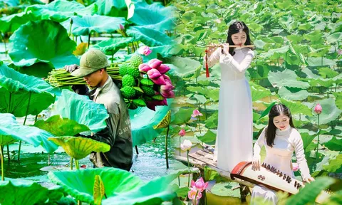 "Bỏ túi" cẩm nang du lịch xứ sen hồng Đồng Tháp