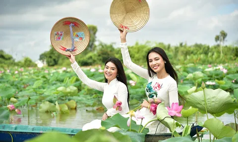 Đồng Tháp sắp diễn ra Lễ hội Sen với nhiều hoạt động hấp dẫn