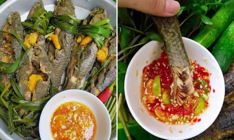 Bắt đầu mùa nước nổi bằng món cá lau kiếng hấp sả thơm lừng