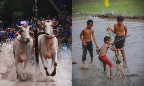 An Giang: Sau Lễ hội đua bò, lũ trẻ thi nhau “đua người” tạo nên cuộc vui đầy ngẫu hứng