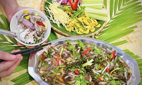 Cá linh – Sản vật đặc trưng mùa nước nổi