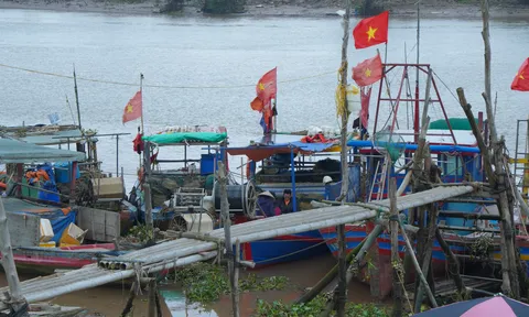 Cảng cá Tân Sơn - điểm tựa của ngư dân miền biển