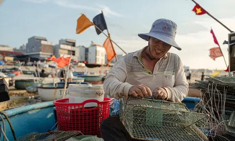 Vì sao Eo Gió - Nhơn Lý đang trở thành biểu tượng của Quy Nhơn?