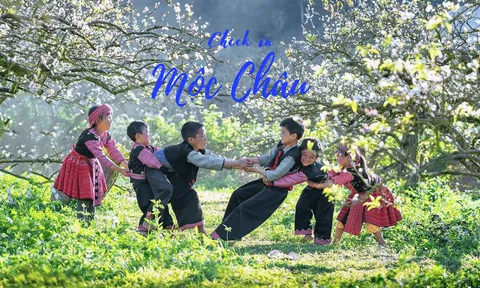 Đến Mộc Châu bất kỳ mùa nào trong năm cũng đừng lỡ hẹn với những địa danh sống ảo đẹp ngỡ ngàng này!