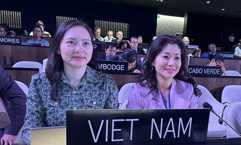 Việt Nam lần thứ 3 trúng cử thành viên Ủy ban liên chính phủ Công ước UNESCO 2005