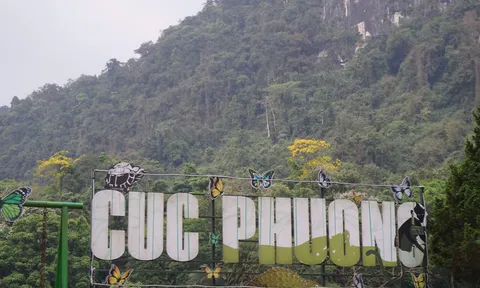 Lạc vào mùa bướm ở Vườn Quốc gia Cúc Phương