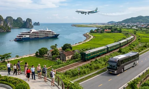 Sức hút từ hạng mục giải thưởng "Đơn vị vận chuyển du lịch được yêu thích hàng đầu" tại VITA Awards 2026