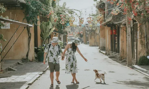 Hội An lọt Top 6 điểm đến ít được biết đến dành cho du lịch cùng thú cưng tại châu Á