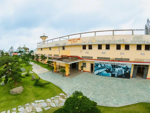 Gần 30 Công ty Lữ hành Khánh Hòa tham gia khảo sát du lịch Lâm Đồng - Hành trình kết nối “biển – rừng”