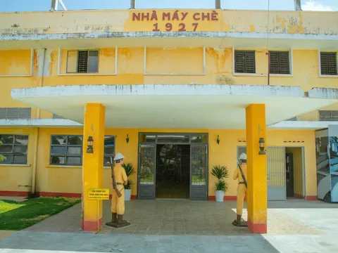 Khám Phá Nhà máy Chè 1927 – Dấu ấn trăm năm giữa cao nguyên Lâm Đồng