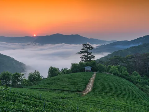 Đà Lạt lọt Top 7 điểm ngắm bình minh đẹp nhất thế giới do tạp chí National Geographic bình chọn