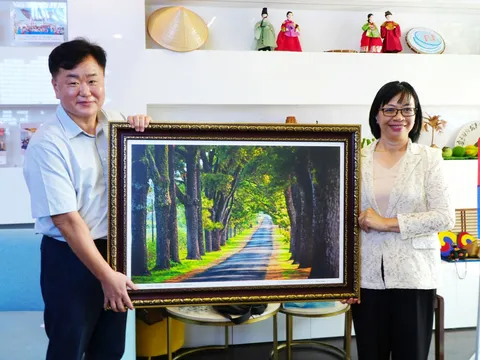 Gia Lai thúc đẩy hợp tác với Hàn Quốc trên nhiều lĩnh vực