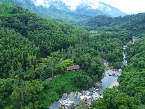 Kong Forest tung ưu đãi lớn nhất từ trước đến nay, đưa du lịch trải nghiệm đến gần hơn với khách Việt