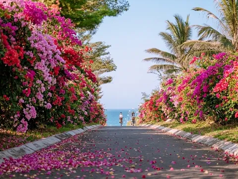 Gia Lai tổ chức lễ hội hoa, kết nối du lịch biển Quy Nhơn với đại ngàn Pleiku