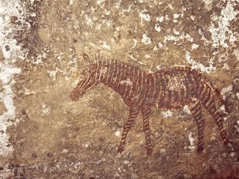 Săn "kho báu" văn hóa trong nghệ thuật trên đá ở châu Phi